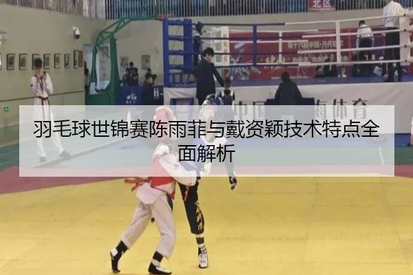 羽毛球世锦赛陈雨菲与戴资颖技术特点全面解析